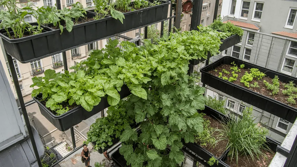 urban farm setups